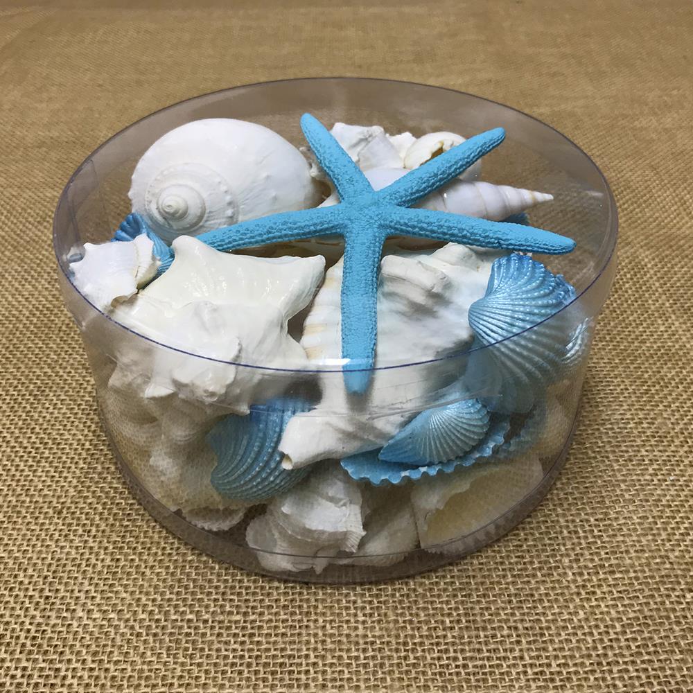 Shell cylinder - Aqua and white