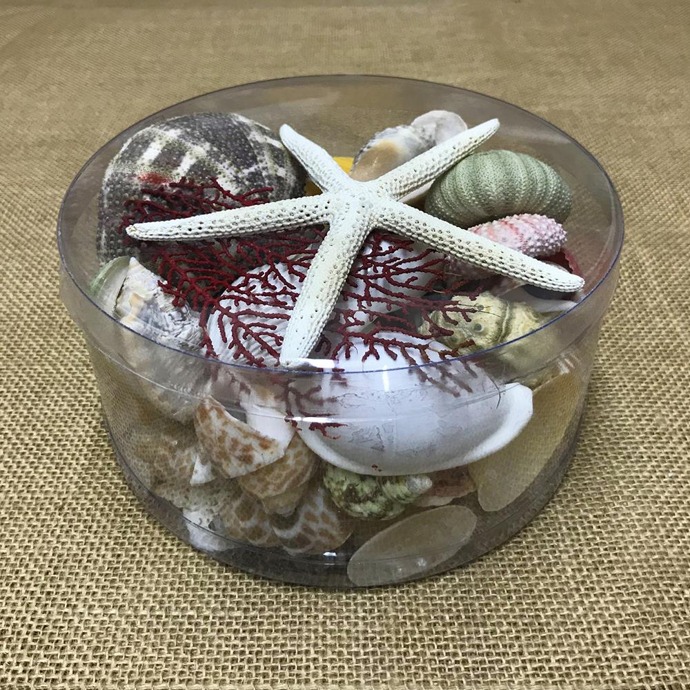 Shell cylinder - Beach Box