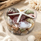 Shell cylinder - Beach Box