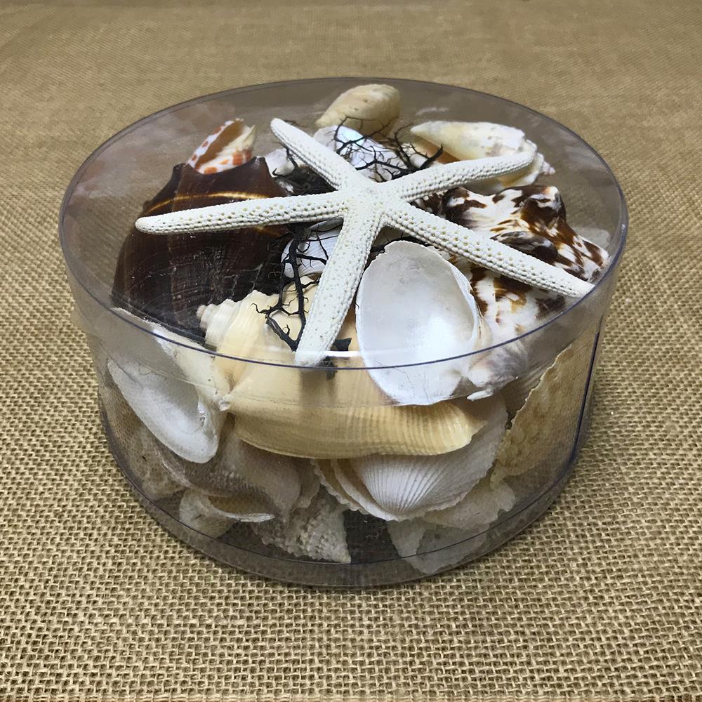 Shell cylinder - Black, tan, cream and white