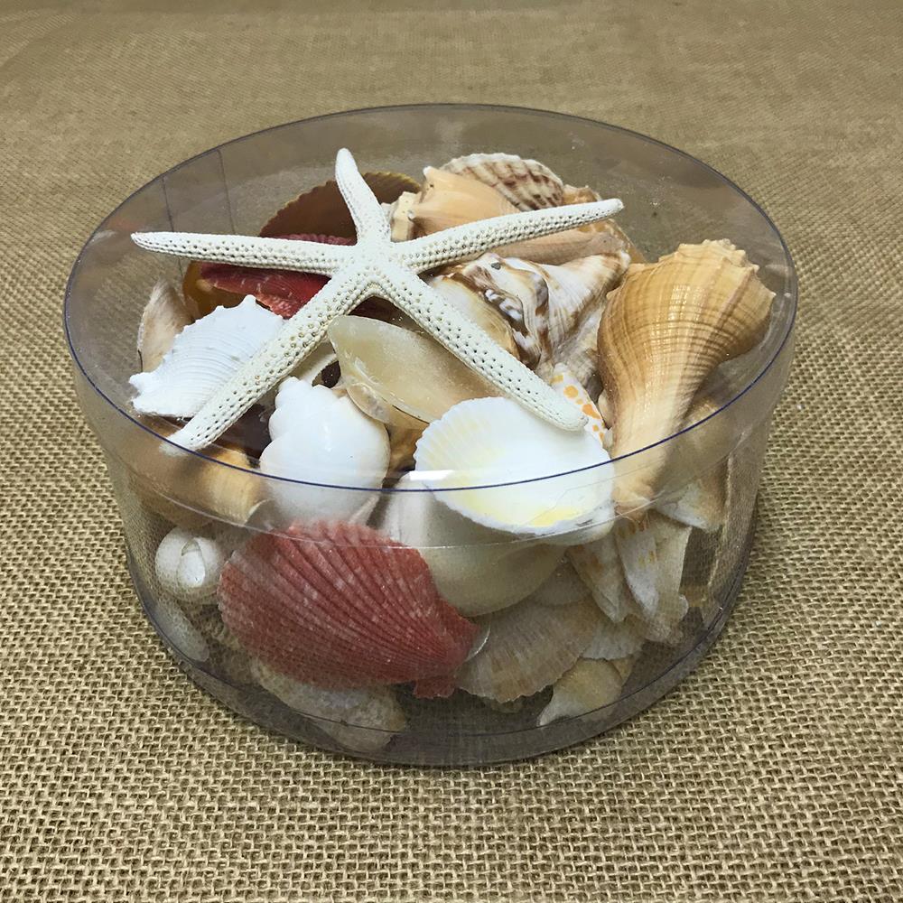 Shell cylinder - Cream, orange, peach and tan