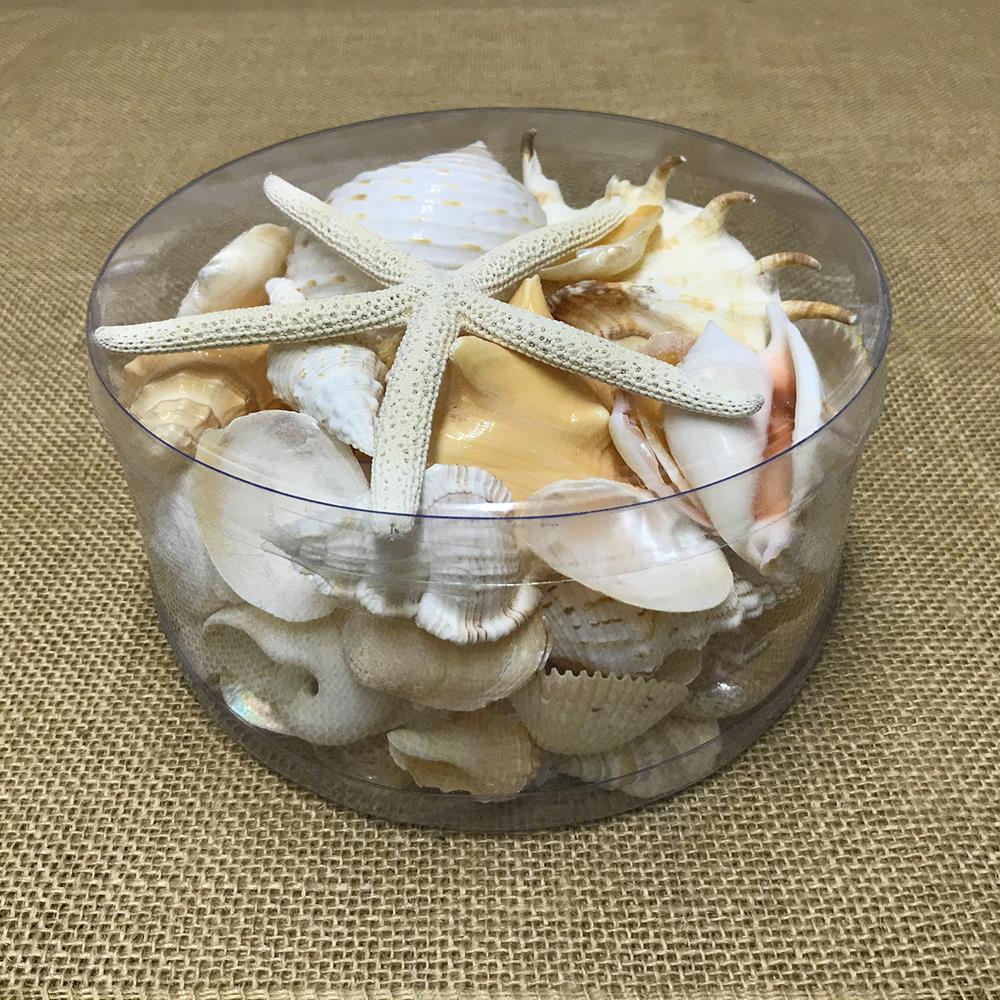 Shell cylinder - Cream and white