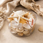 Shell cylinder - Cream and white