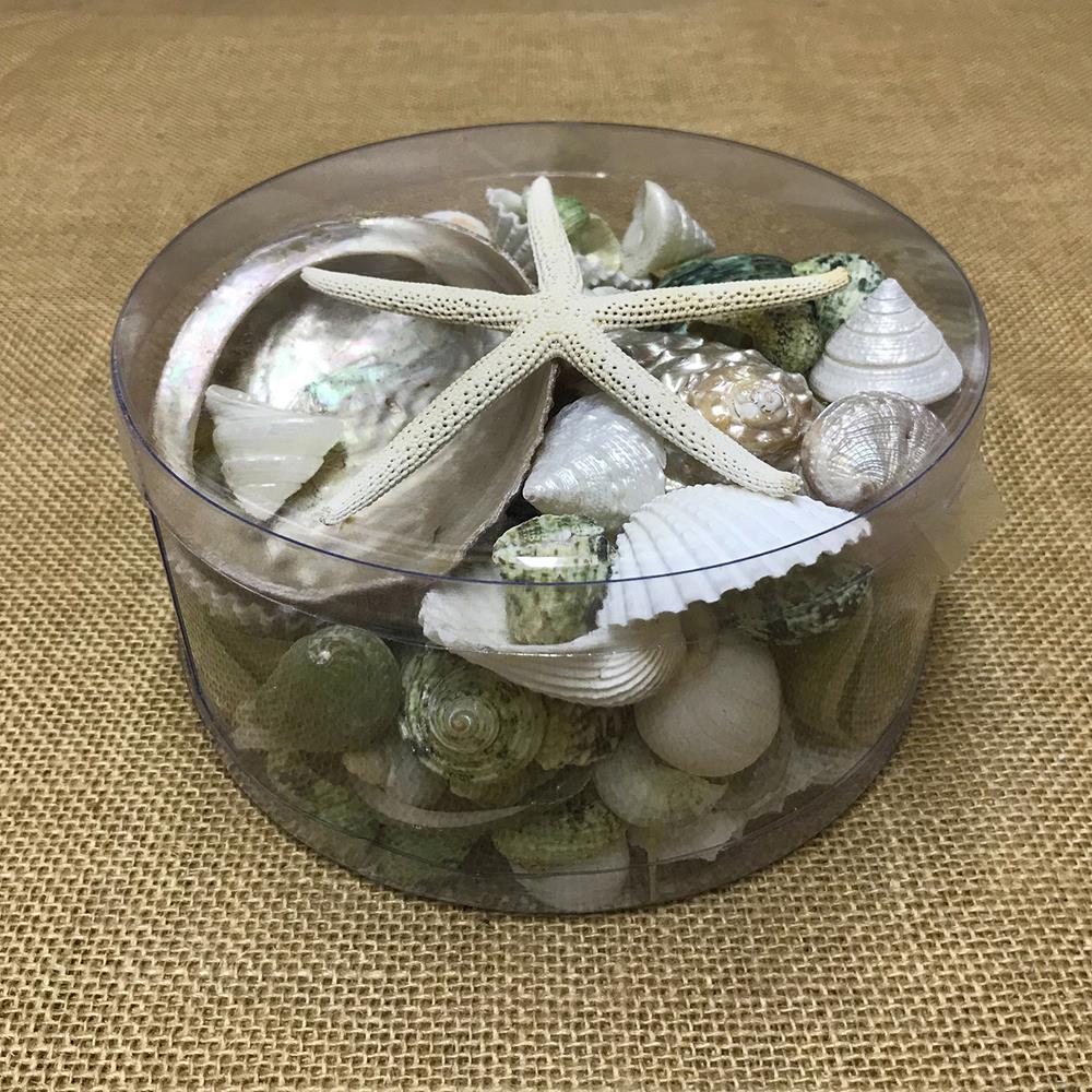 Shell cylinder - green, white and pearl