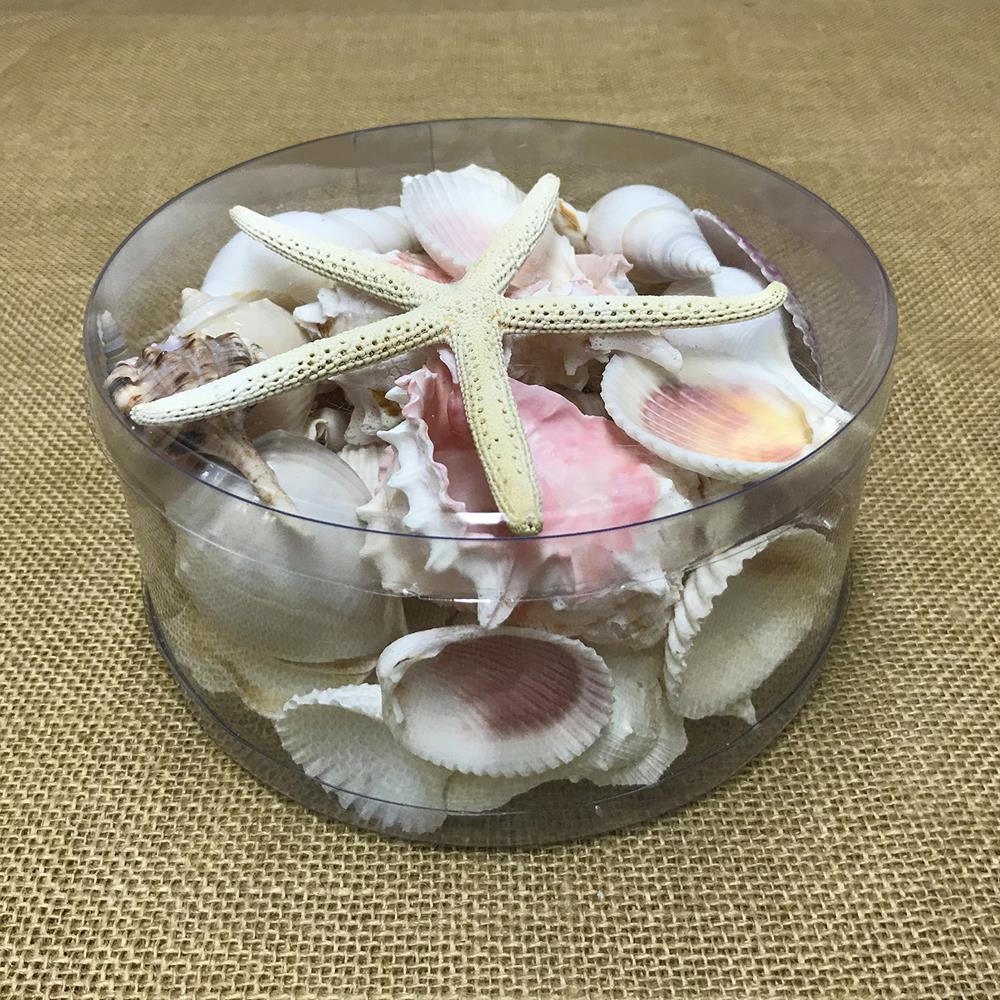 Shell cylinder - Pink and white