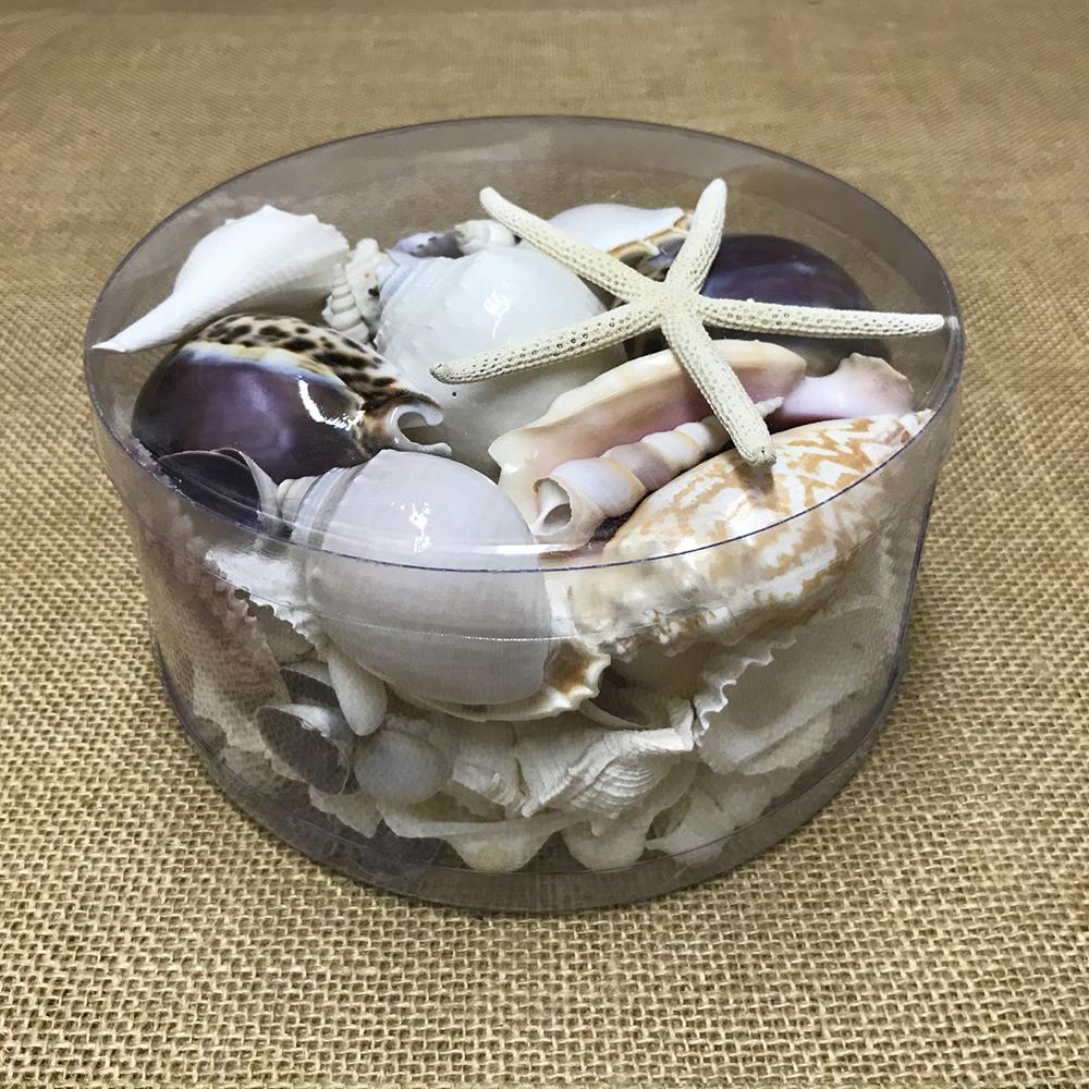 Shell cylinder - Purple and white