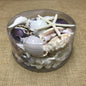 Shell cylinder - Purple and white
