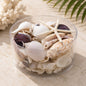 Shell cylinder - Purple and white