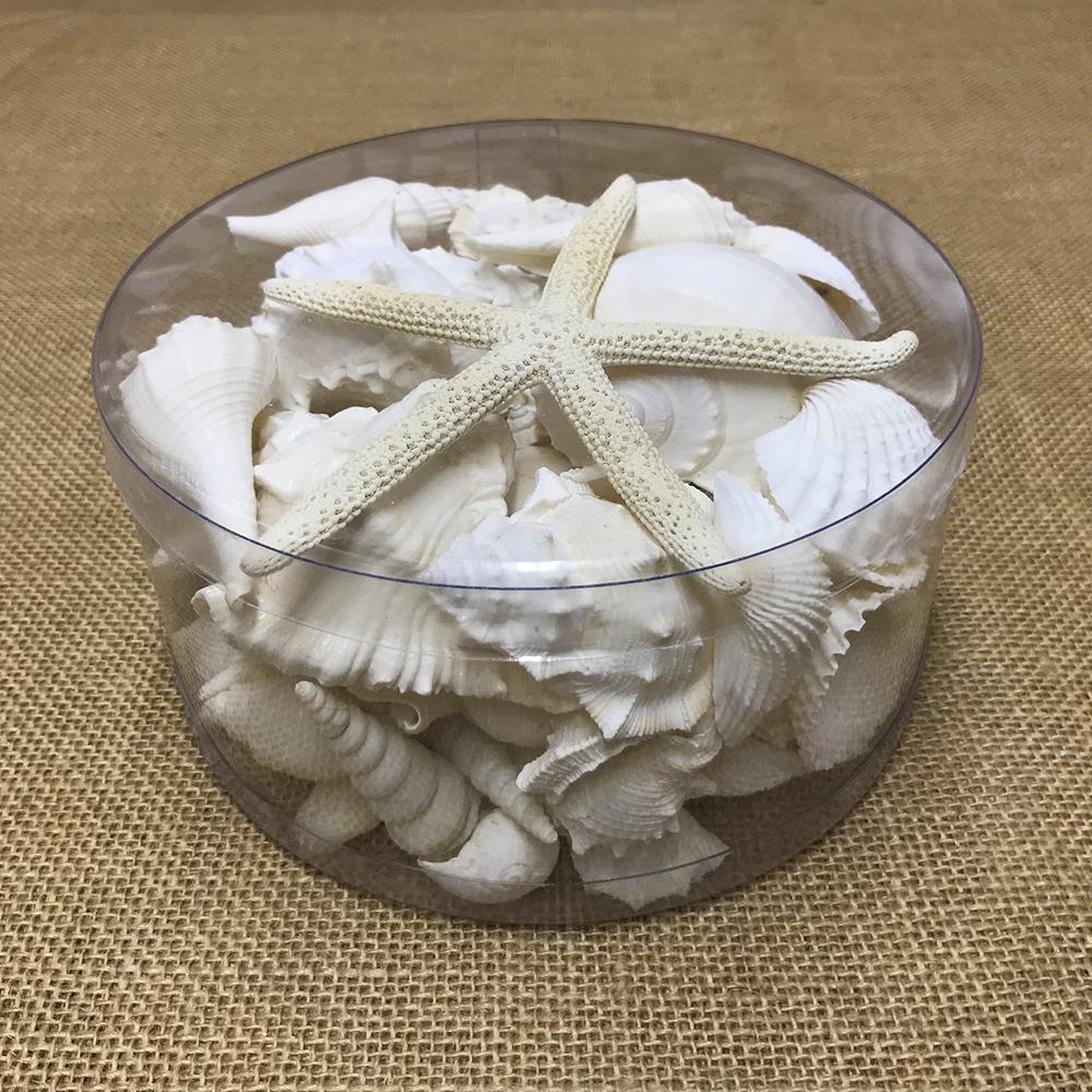 Shell cylinder - White