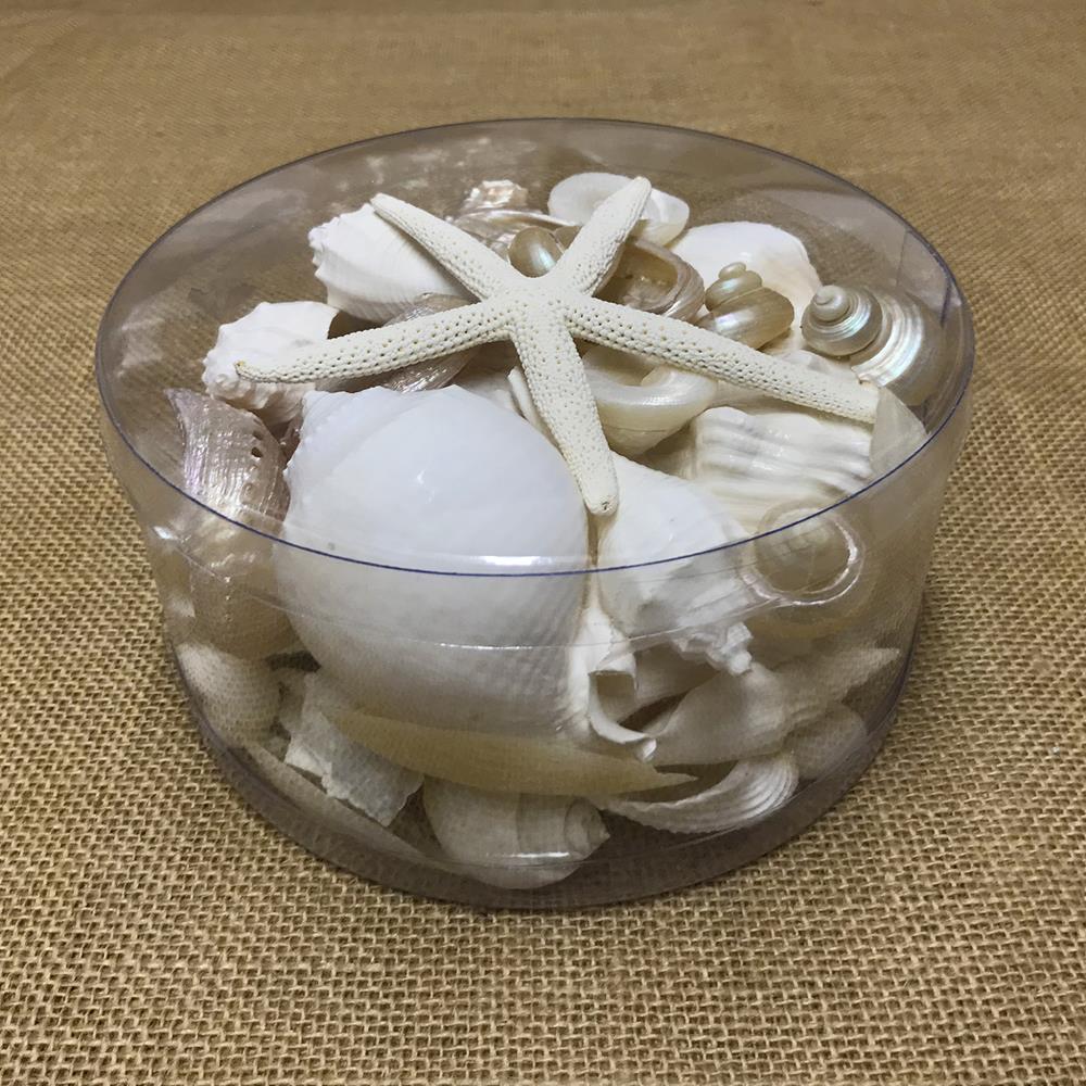 Shell cylinder - White and pearl