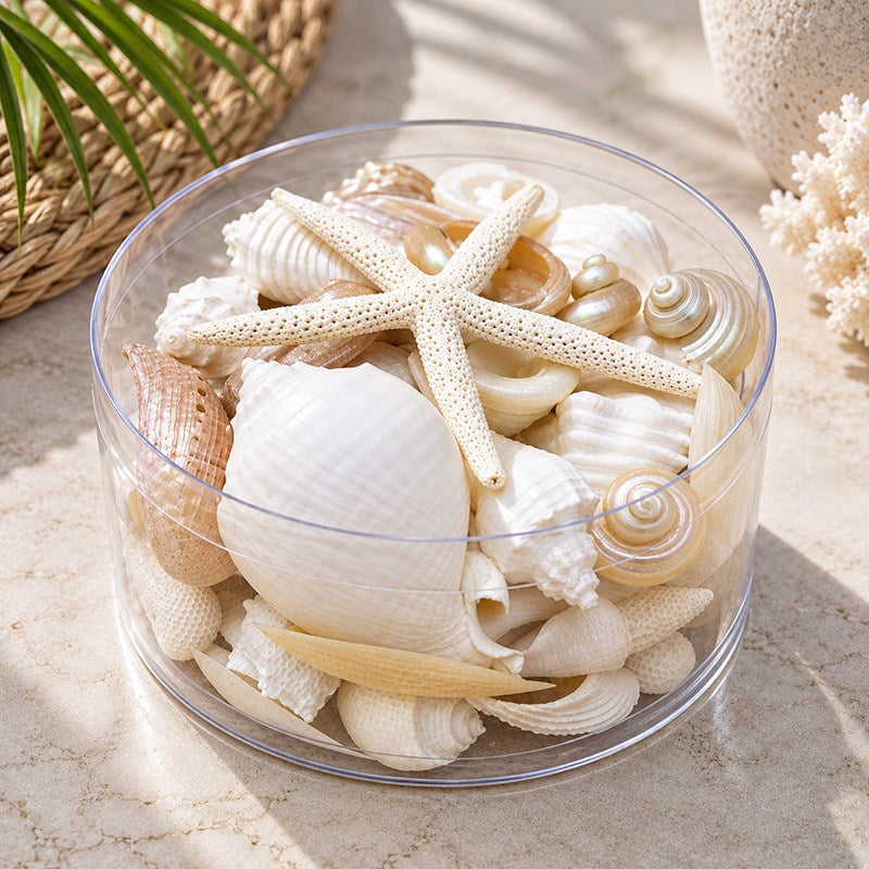 Shell cylinder - White and pearl
