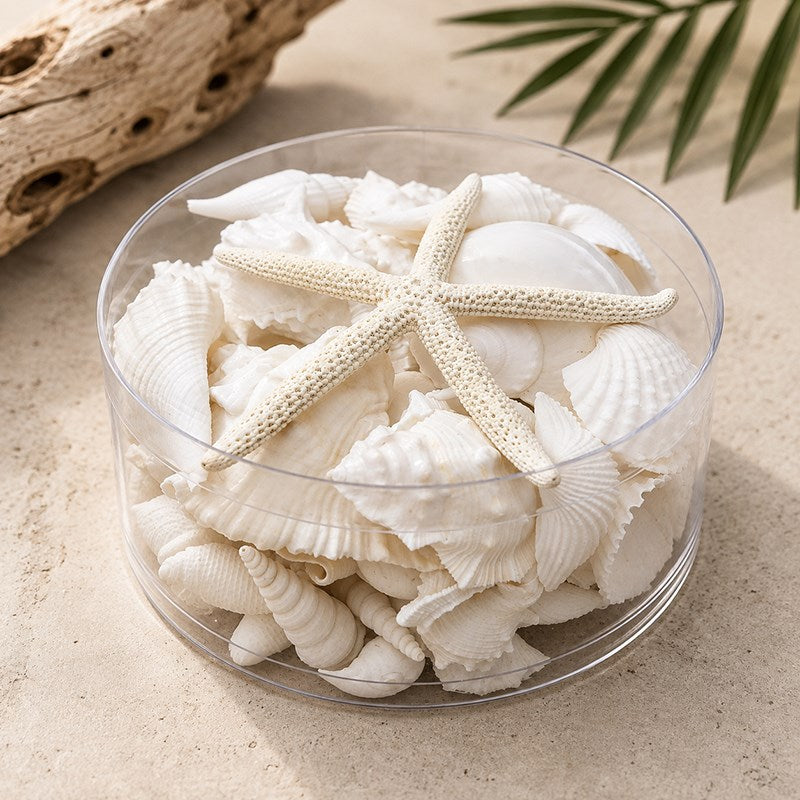 Shell cylinder - White