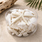 Shell cylinder - White