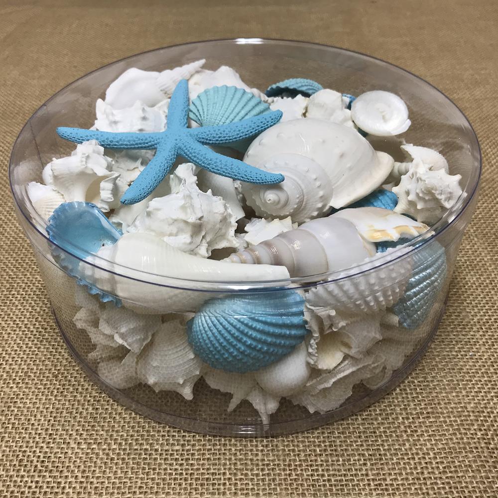Shell cylinder - Aqua and white