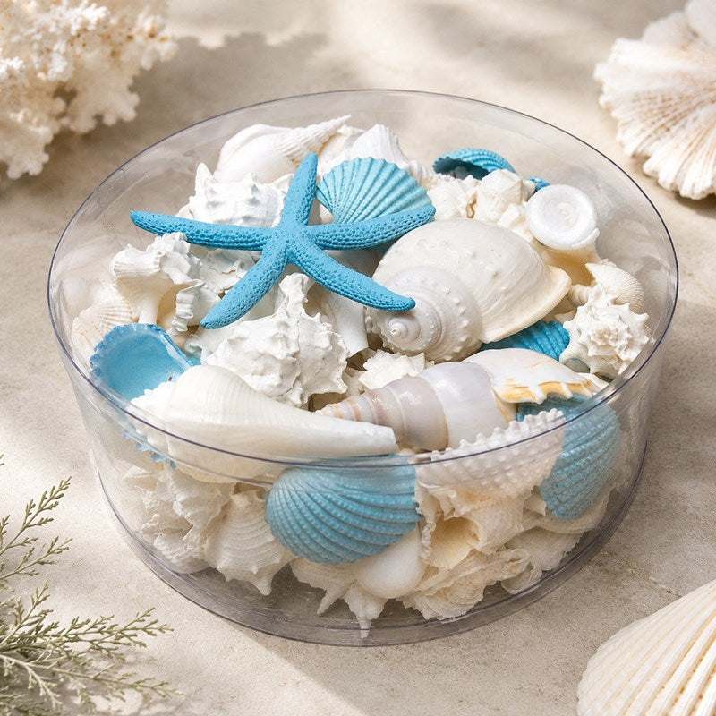 Shell cylinder - Aqua and white
