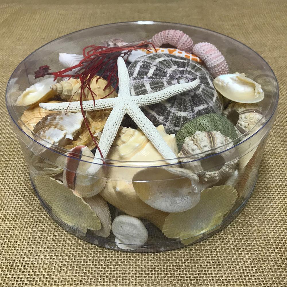 Shell cylinder - Beach Box