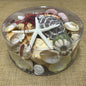 Shell cylinder - Beach Box