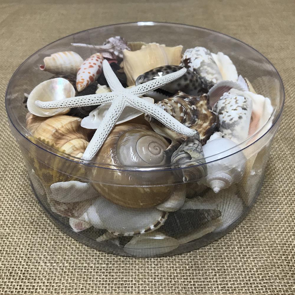 Shell cylinder - Black, tan, cream and white
