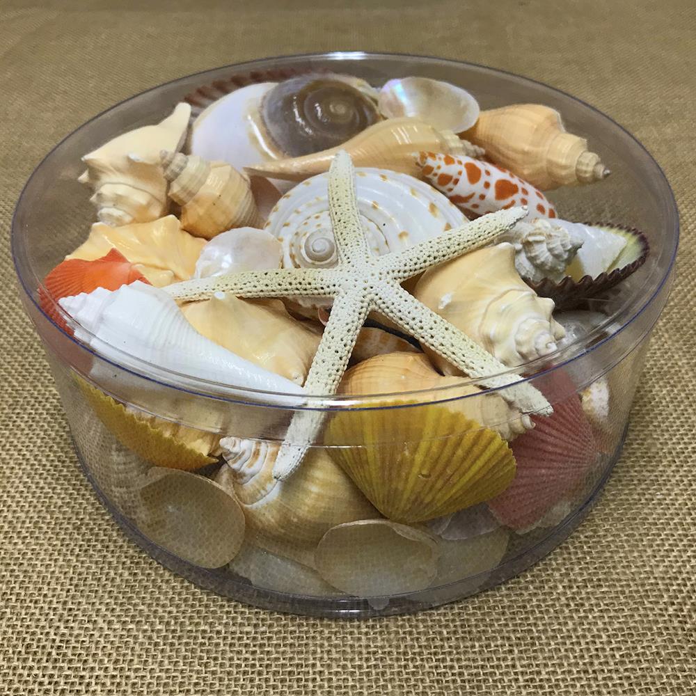 Shell cylinder - Cream, orange, peach and tan