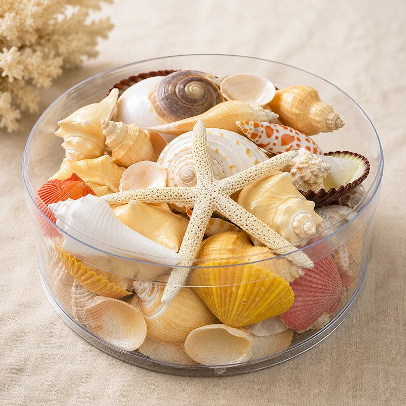Shell cylinder - Cream, orange, peach and tan
