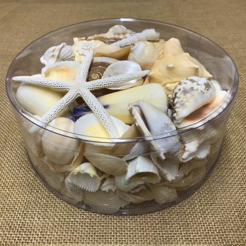 Shell cylinder - Cream and white