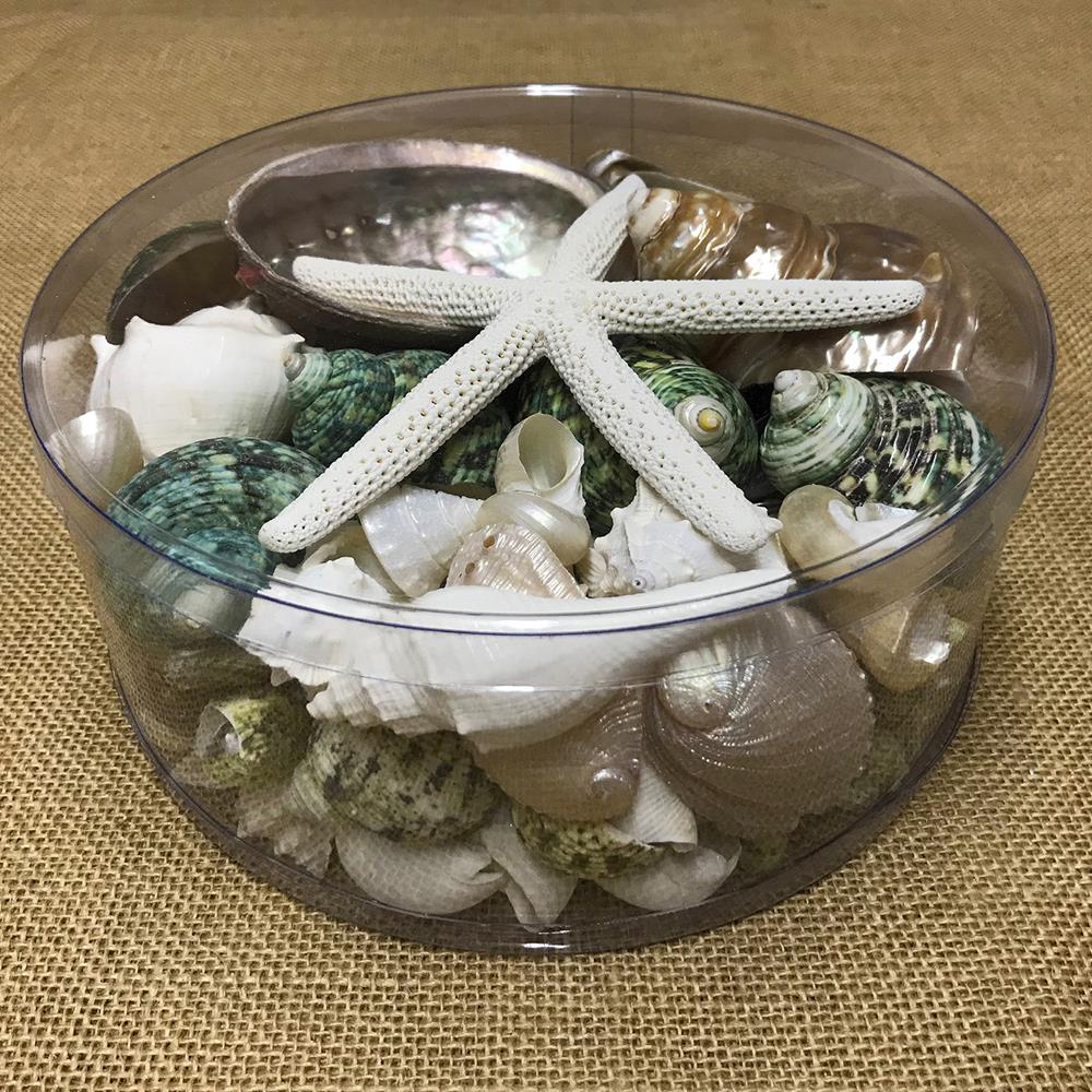 Shell cylinder - green, white and pearl