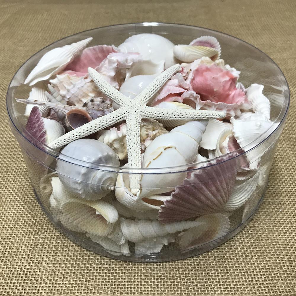 Shell cylinder - Pink and white