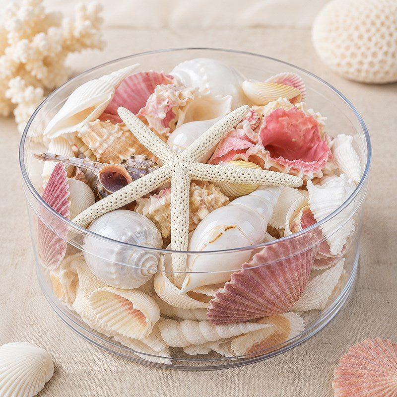 Shell cylinder - Pink and white