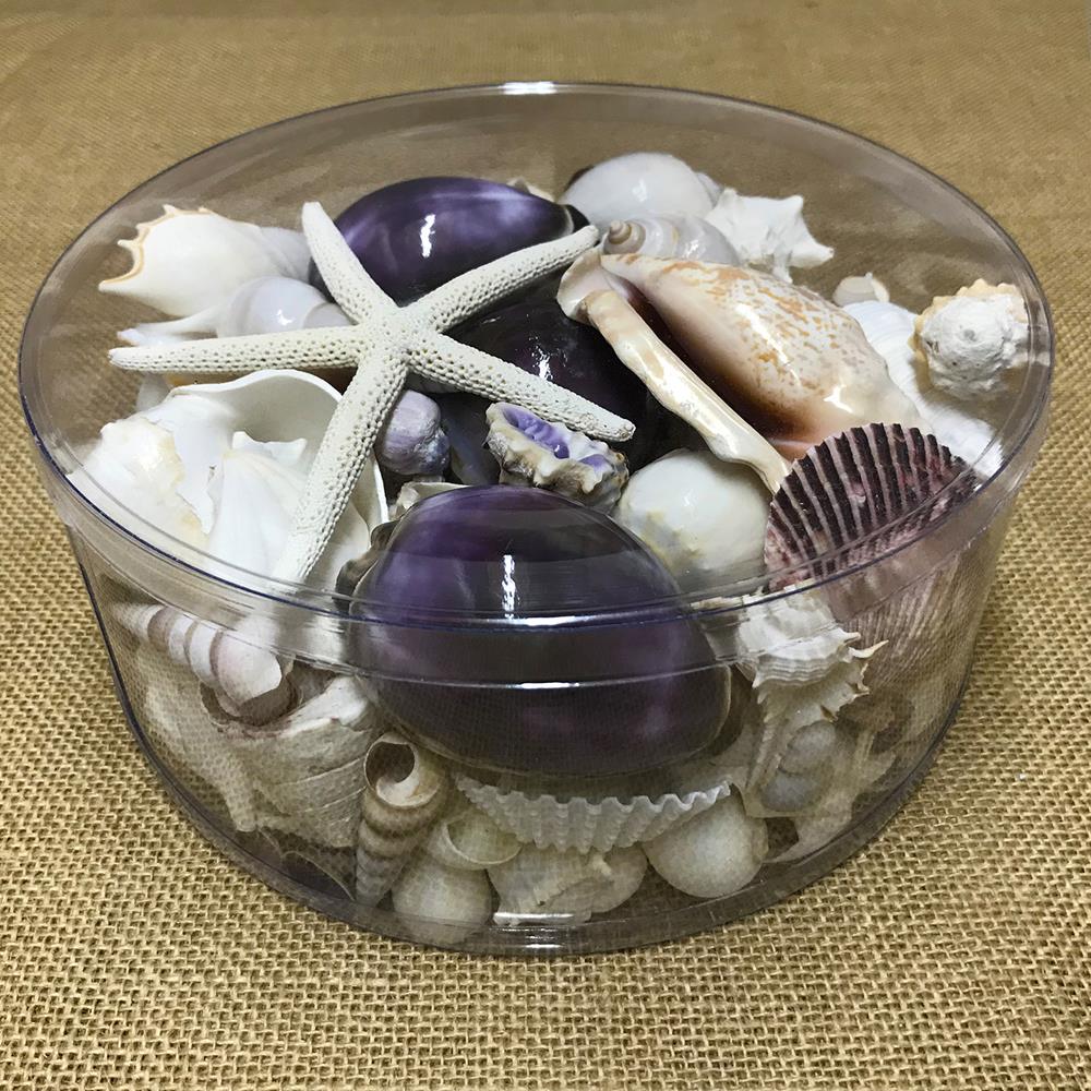 Shell cylinder - Purple and white