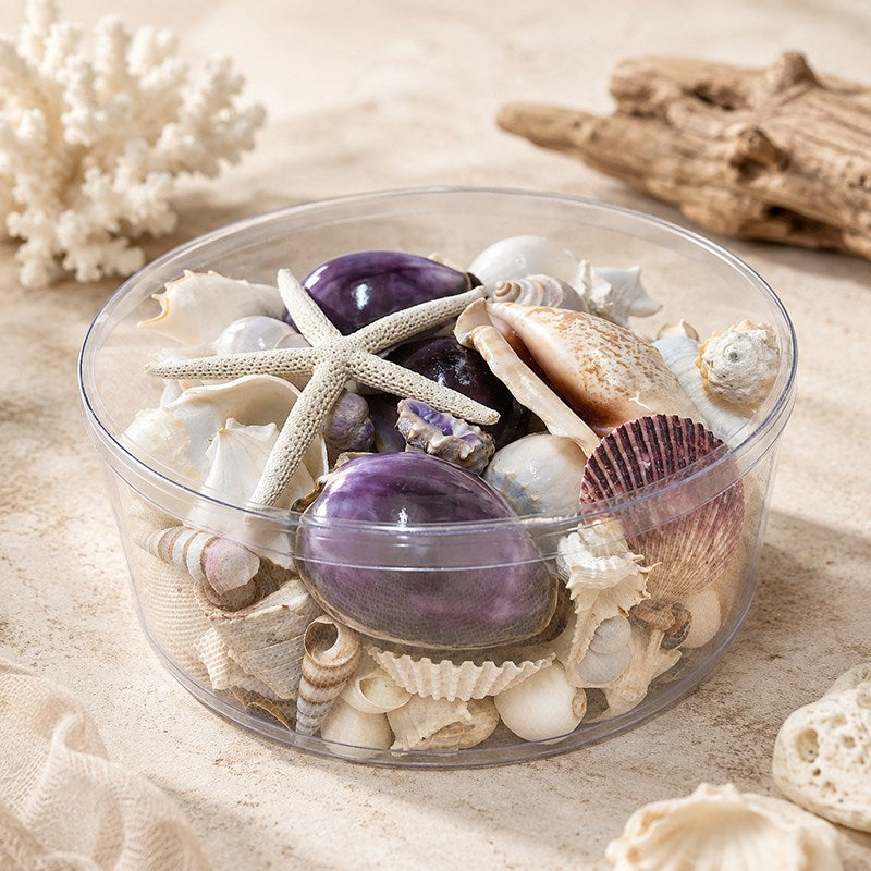 Shell cylinder - Purple and white