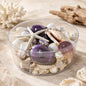 Shell cylinder - Purple and white
