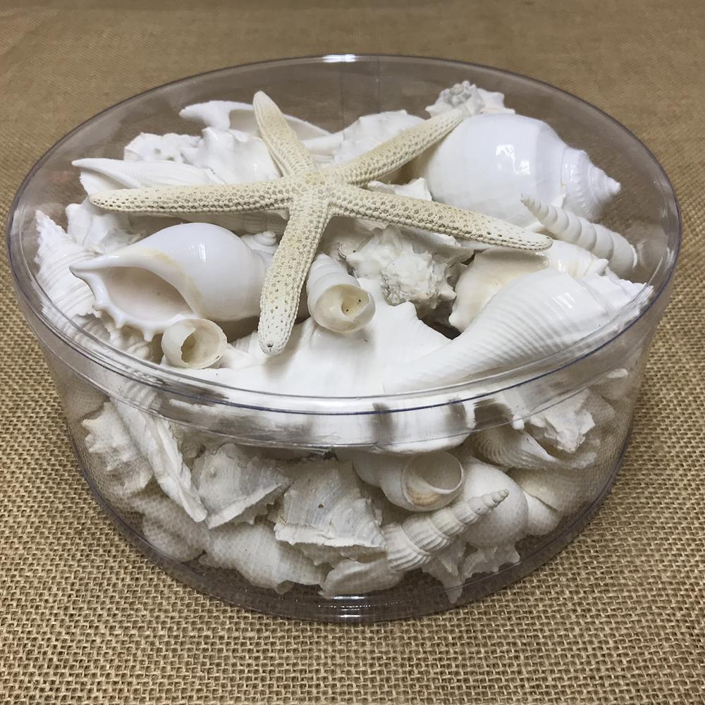 Shell cylinder - White