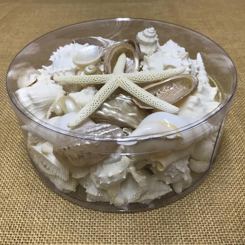 Shell cylinder - White and pearl