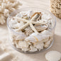 Shell cylinder - White and pearl