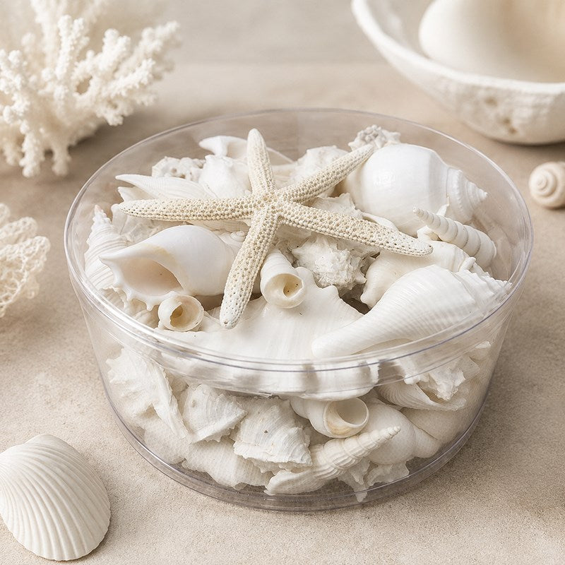 Shell cylinder - White