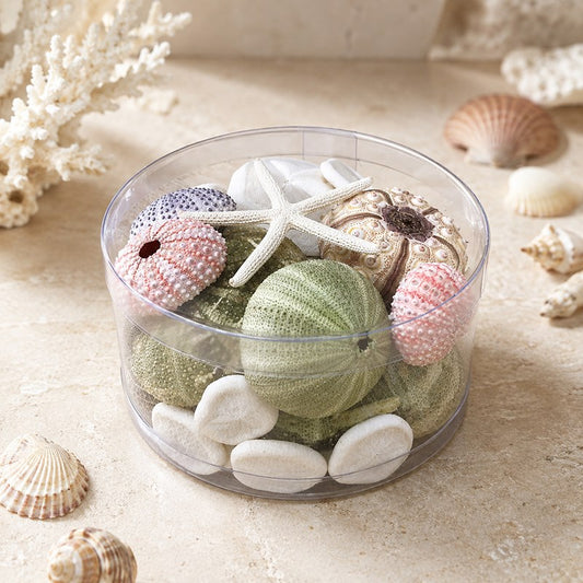 Sea urchin cylinder