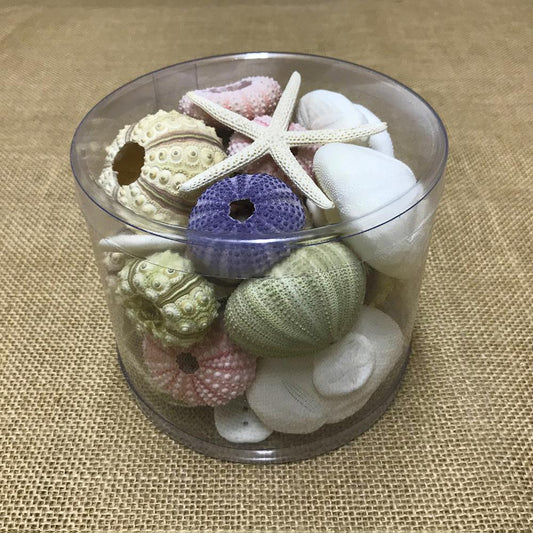 Sea urchin cylinder