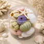 Sea urchin cylinder