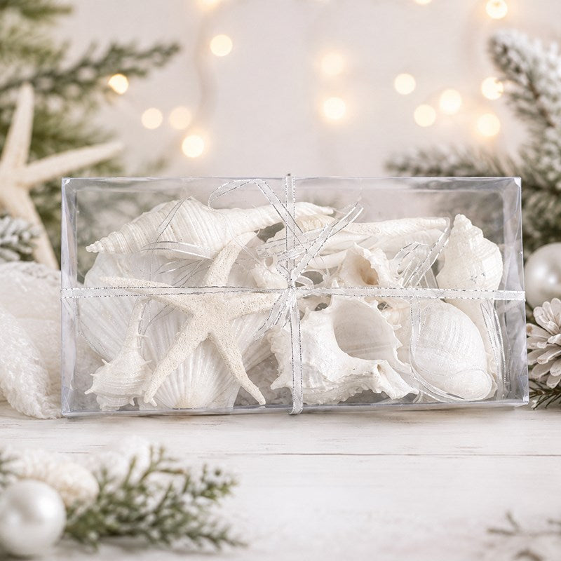 Decoration pack glitter shells white - rectangle with ribbon (Pack of 6)