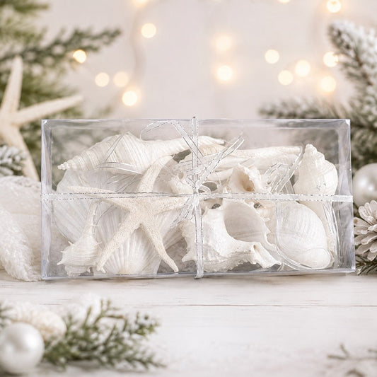 Decoration pack glitter shells white - rectangle with ribbon (Pack of 6)