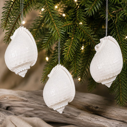 Decoration natural shell Cassis white