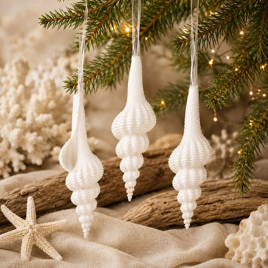 Decoration natural shell Fusinus forceps