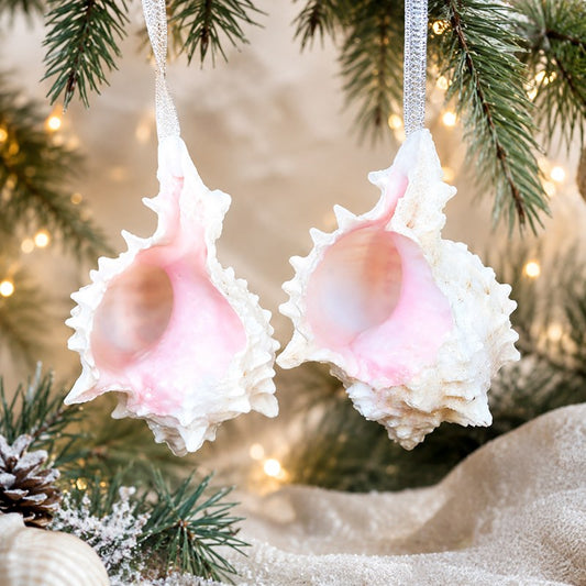 Decoration natural shell Murex erythrostomus pink