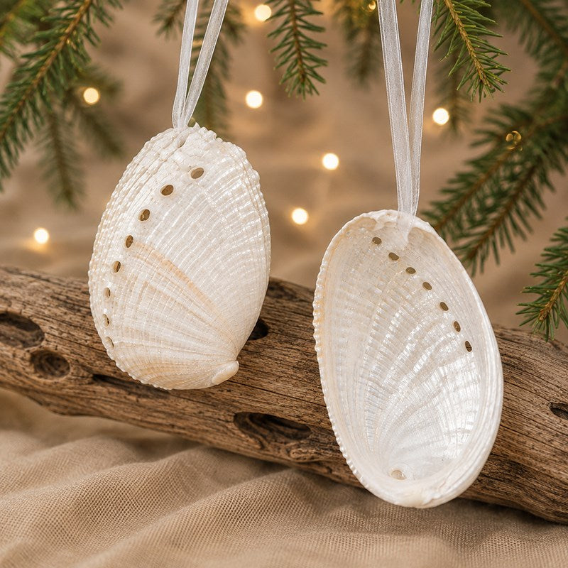 Decoration natural shell Haliotis diversicolour pearled