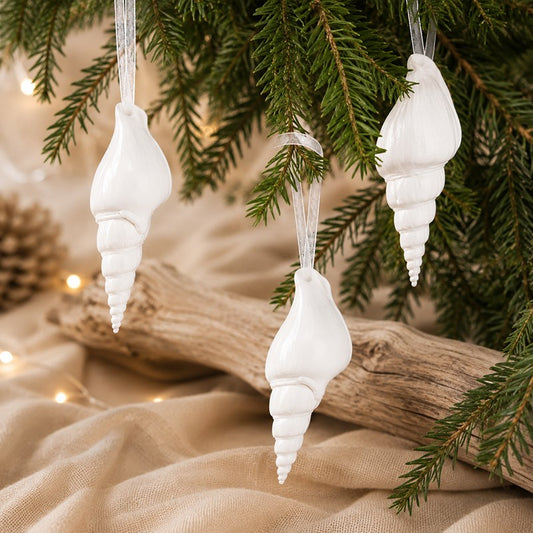 Decoration natural shell Strombus vittatus white
