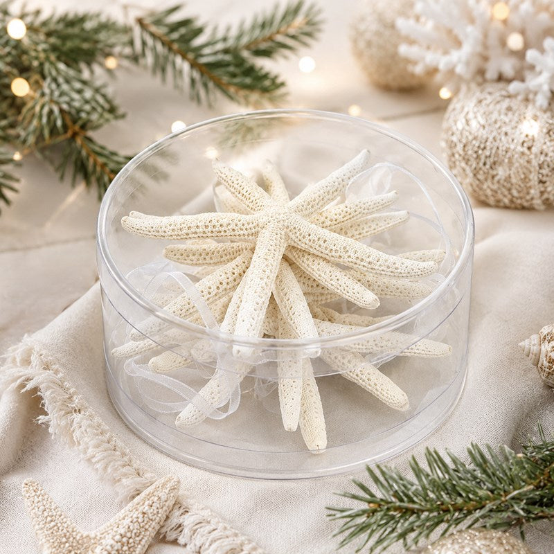 Decoration pack natural cylinder starfish finger