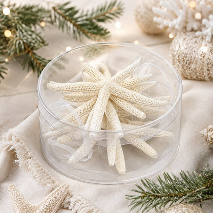 Decoration pack natural cylinder starfish finger