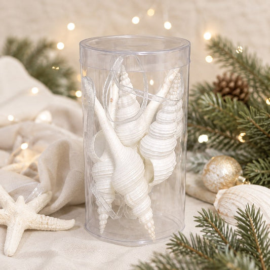 Decoration pack natural tall cylinder shell Fusinus colus