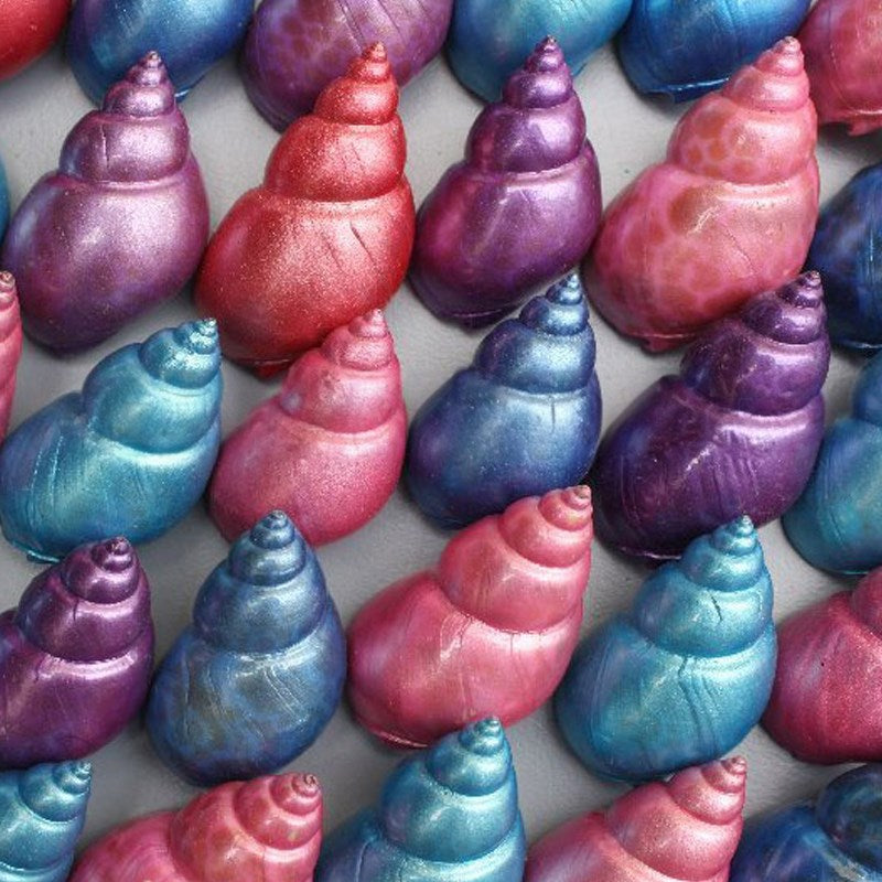 Pet crab shells pearl dyed pastel blue, aqua, purple -Babylonia