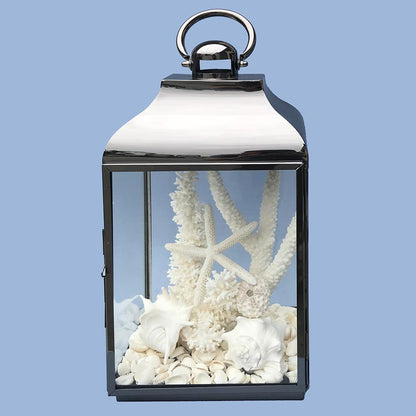 Coral and shell pack white for Hurricane lamp (Lamp not included)